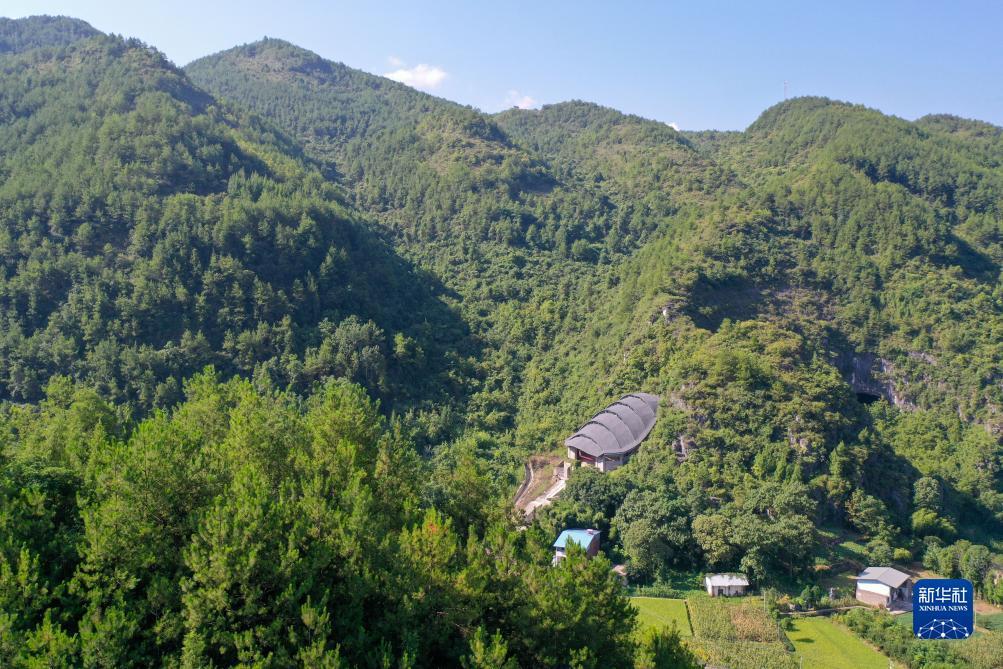 天天水果机现金版